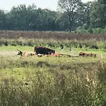 't Vosseven Basic Stramproy