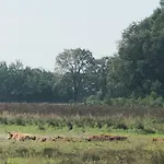 Parco vacanze 't Vosseven Basic *