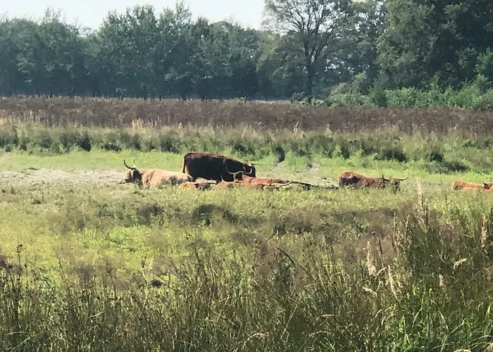 't Vosseven Stramproy