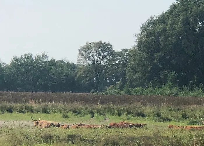 Vakantiepark 't Vosseven *