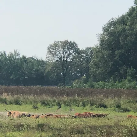 Üdülőpark 't Vosseven Basic *